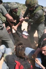 Attempting to Arrest Sami Awad